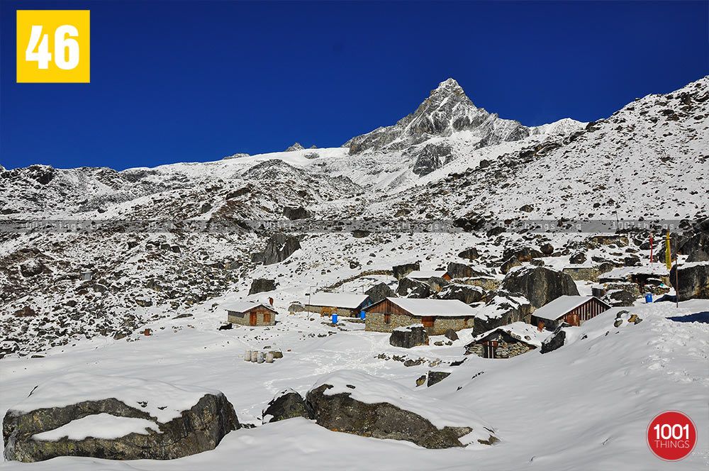 Chaurikhang or Base Camp Trekking, Sikkim