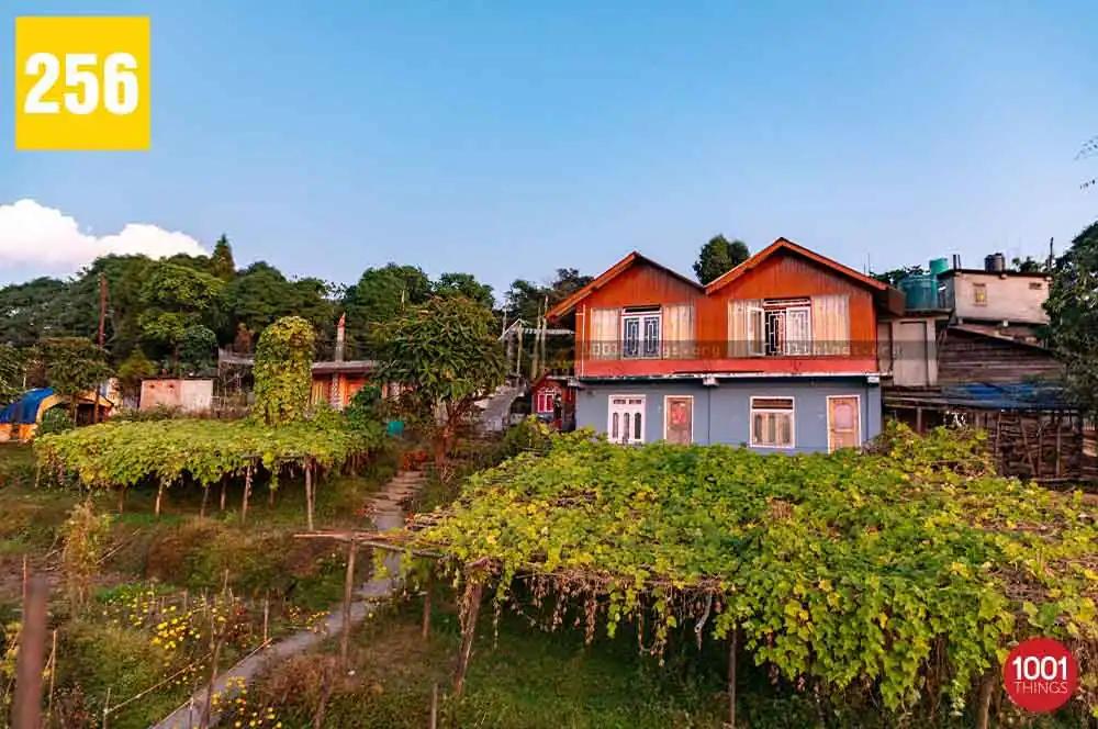 Jhandi: Discover the Serenity and Majestic Vistas of this Enchanting Hilltop Retreat