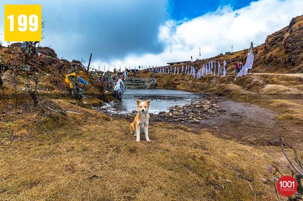 Kalapokhari Lake - The Lake En Route To Sandakphu Peak