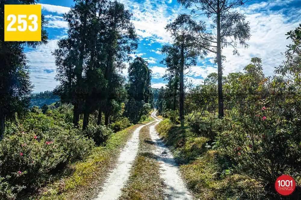 Latpanchar, Darjeeling