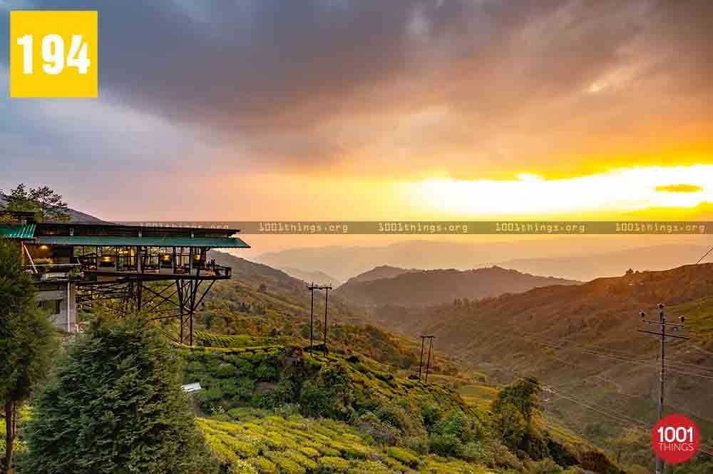 cafe in kurseong margarets deck tea lounge