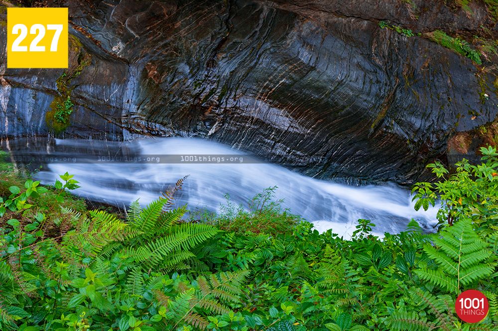 Changey Waterfalls, Kalimpong
