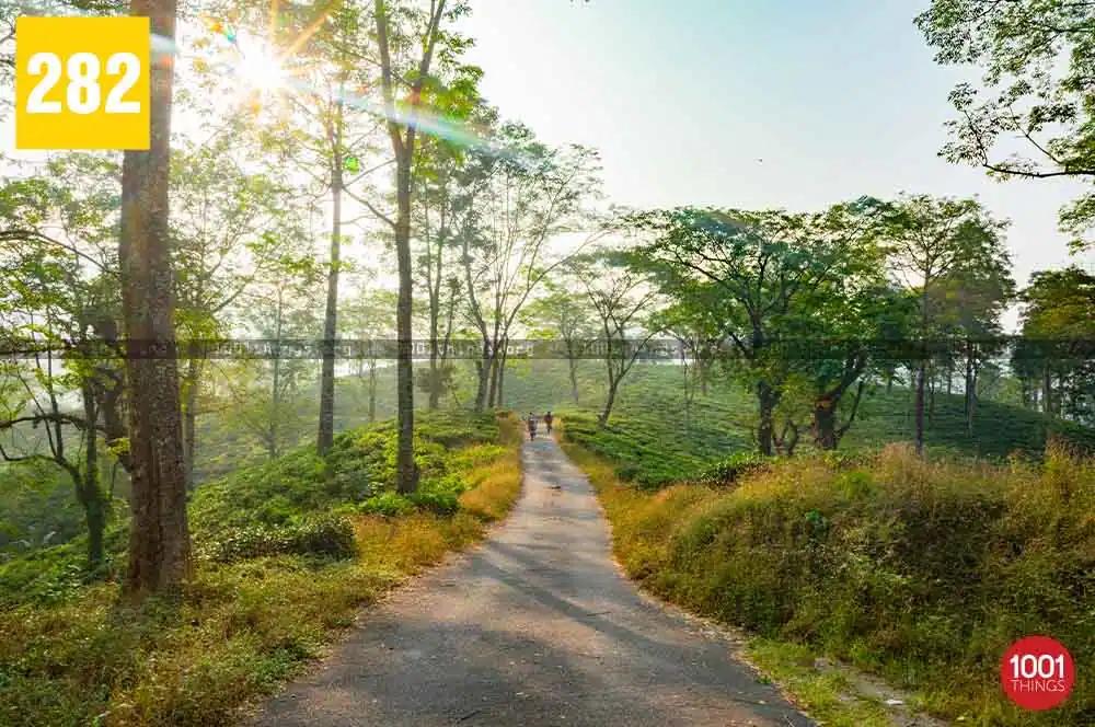 Shiva Khola to Mahanadi