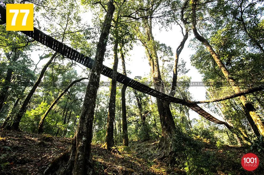 Below of Hanging bridge canopy walkway lolegaon