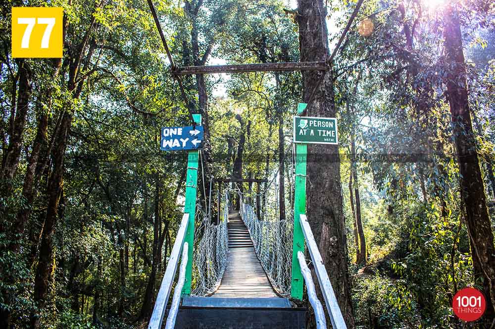 Hanging bridge, Lolegaon