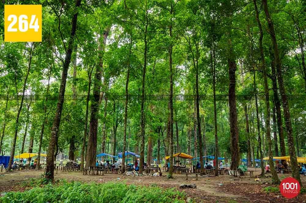 Tipu Khola, Siliguri