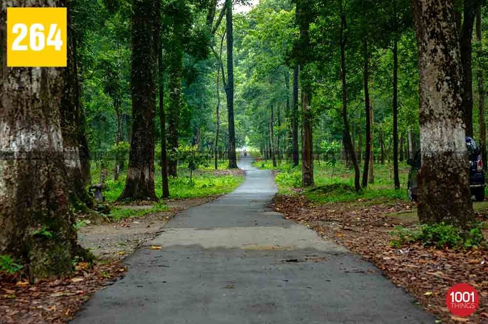 Tipu Khola, Siliguri