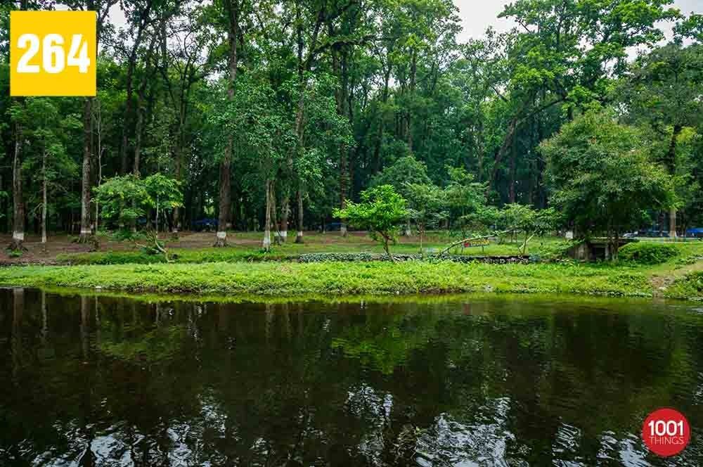 Tipu Khola, Siliguri