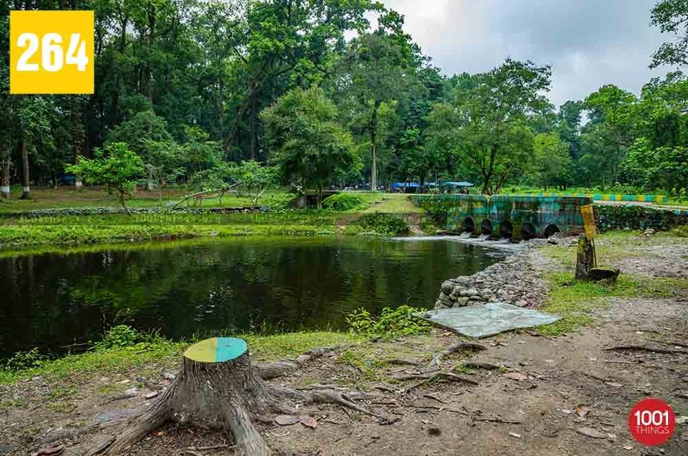 Tipu Khola, Siliguri