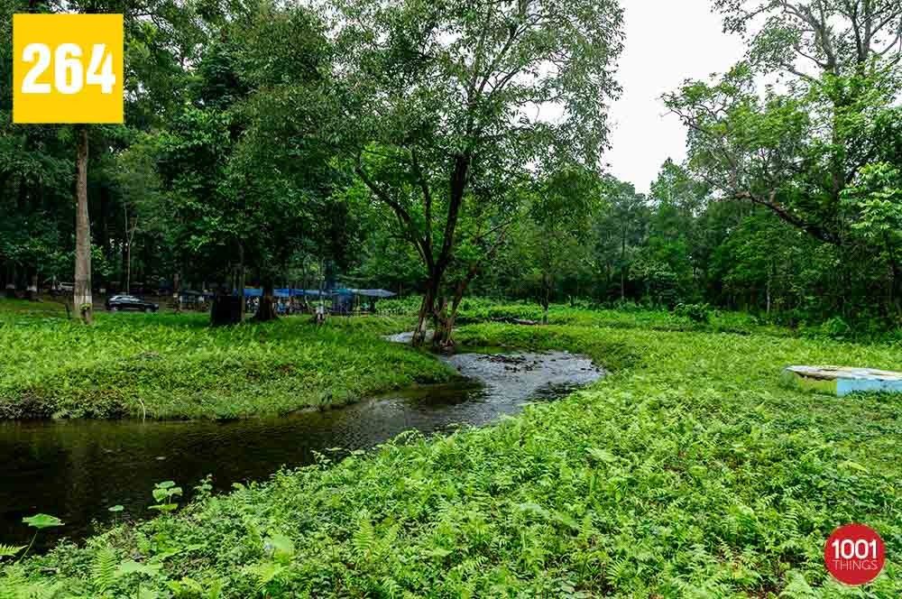 Tipu Khola, Siliguri