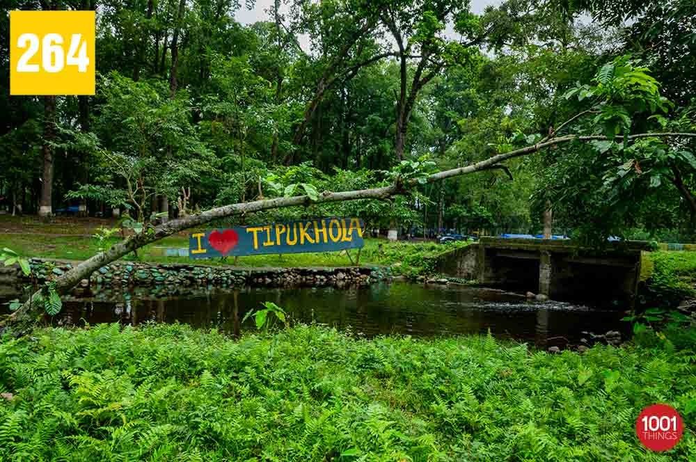 Tipu Khola: A Tranquil Picnic Spot near Siliguri