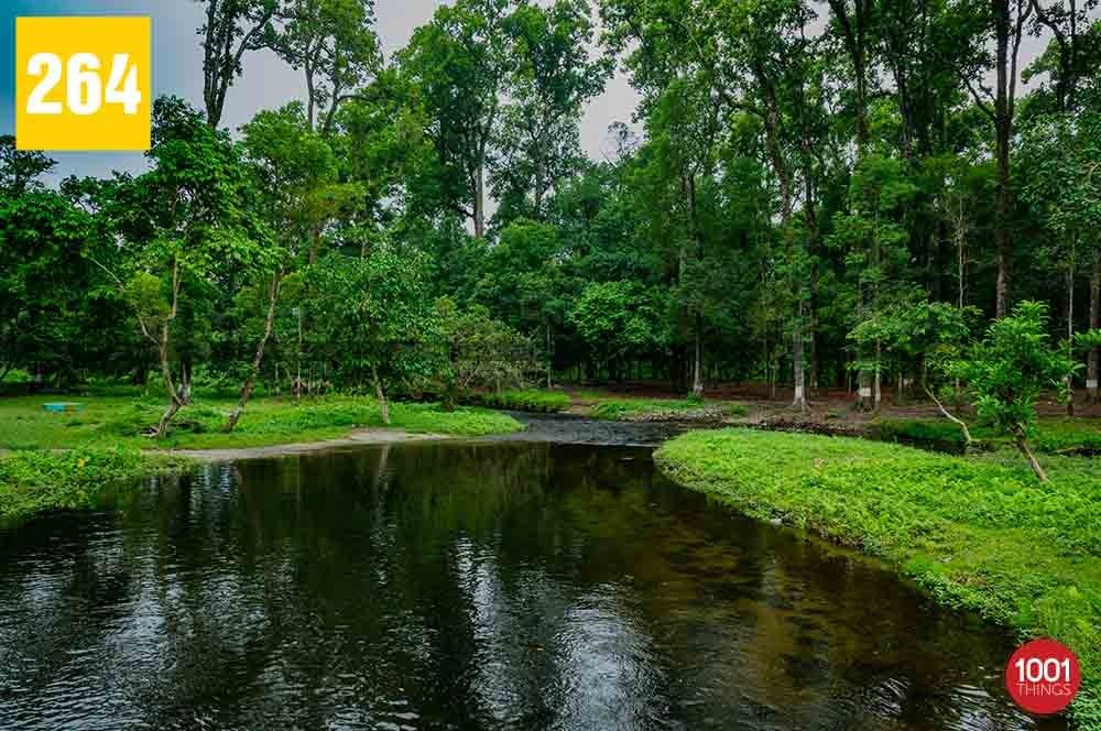 Tipu Khola, Siliguri