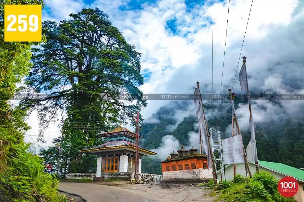 Lachen, North Sikkim