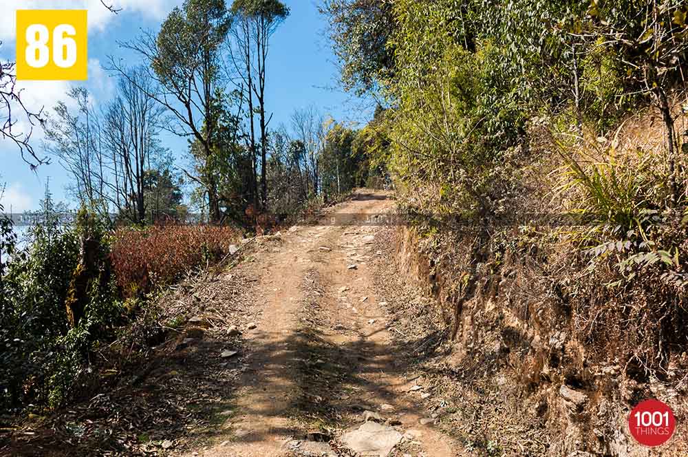 Way towards Rachela
