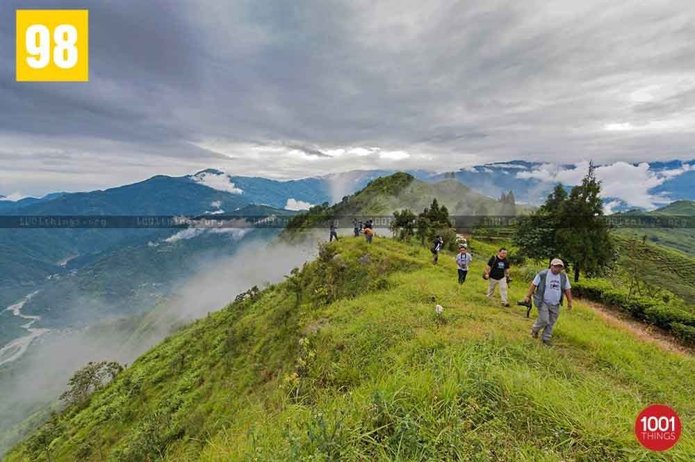 Teesta Valley Durpin Dara